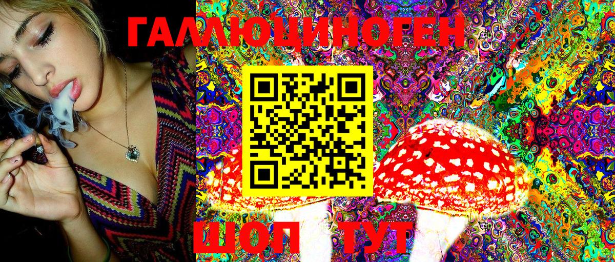 Галлюциногенные грибы ЛСД  Вход с VPN  Тайшет  Галлюциногенные грибы Magic Shrooms 